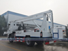 Telescopic boom crane